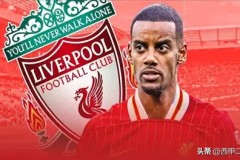 皇马新援贝林厄姆西甲加盟，展现独特魅力与领导力